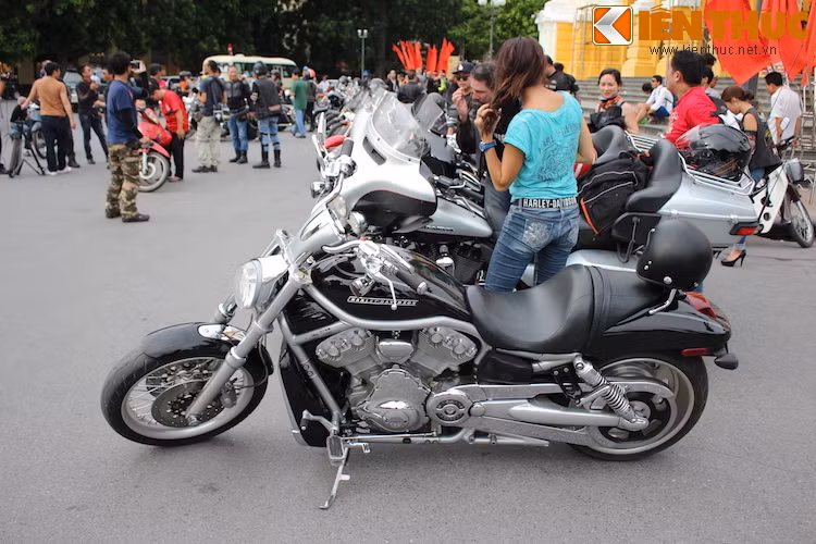 Những chiếc Harley-Davidson trong đoàn rất đa dạng, nhưng chủ yếu là các dòng đường trường như Ultra Glide, Road Glide, thỉnh thoảng còn có thêm một số dòng khác như V-Rod hay Fat Boy.