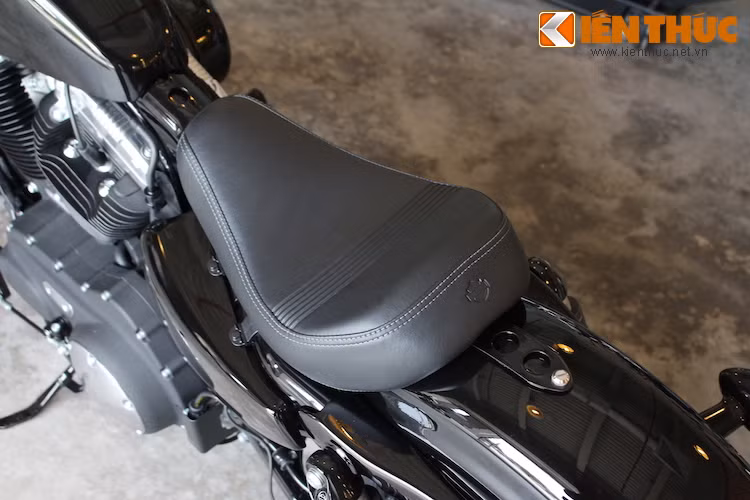 Yên xe cũng được thay đổi nhẹ so với đời 2015 khi có các sọc nổi chạy ngang cùng logo Harley-Davidson dập nổi, thay vì yên trơn như trước.