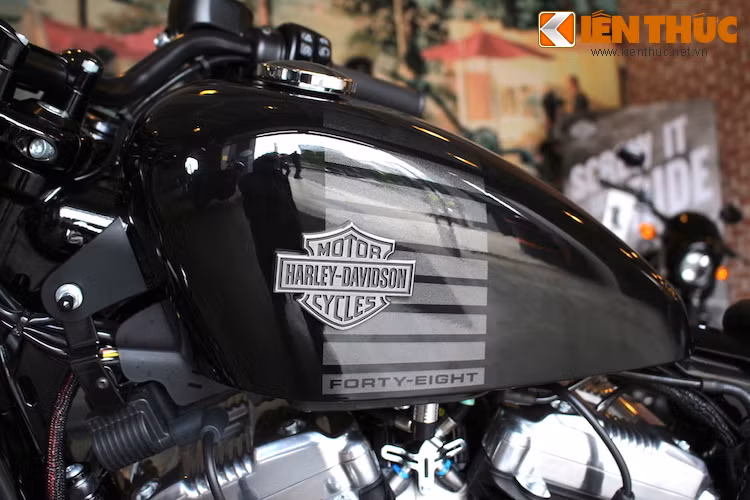Bình xăng của chiếc xe cũng được trang trí theo kiểu mới với các sọc ngang chạy theo chiều cao, cùng với logo Harley-Davidson nổi bằng kim loại.