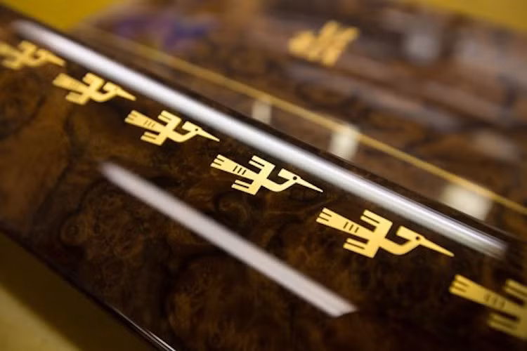 Ở mỗi tấm ốp cửa xe được sơn hình một đàn chim lạc gồm 9 con màu vàng, với 18 con tổng cộng mỗi cặp cửa trái và phải, tượng trưng cho 18 đời vua Hùng.