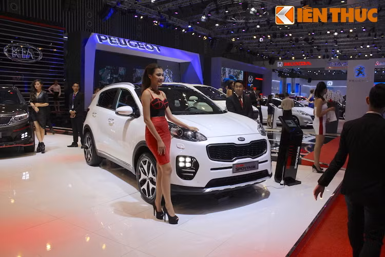 Sẽ được THAKO Kia tung ra thị trường Việt Nam trong tương lai gần, hiện Kia Sportage thế hệ mới chưa có giá chính thức. Với phiên bản mới nhất này, hãng hy vọng Sportage vượt qua "thất bại" vè doanh số của thế hệ hiện tại để có thể cạnh tranh mạnh hơn với các đối thủ như Hyundai Tucson, Honda CR-V, Mazda CX-5...