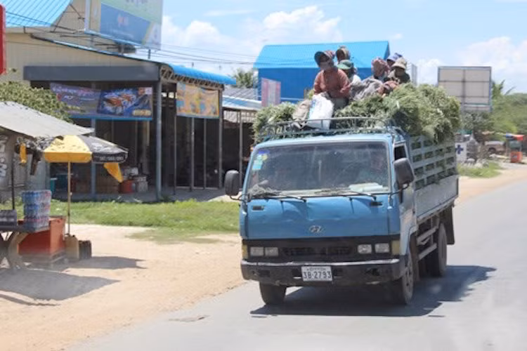 Chính vì vậy, họ thường "tiết kiệm" tối đa chi phí bằng cách "cheo leo" trên những chiếc xe chở hàng như thế này.