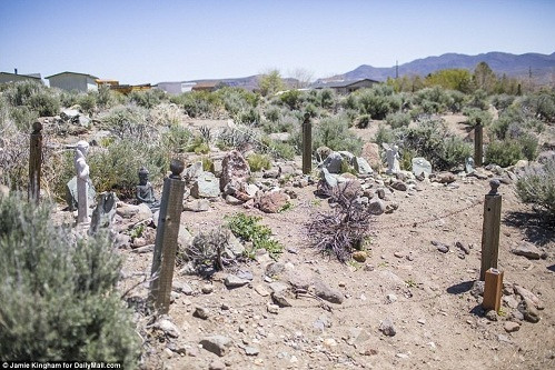 Molossia đặt mục tiêu chuyển sang tiêu thụ năng lượng mặt trời để giảm phụ thuộc vào Mỹ.