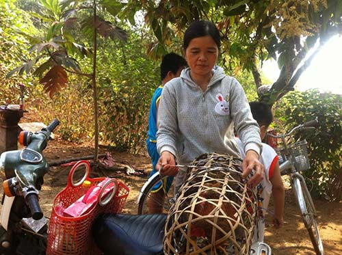 Vào ngày gần Rằm, mọi công việc đều được tạm dừng để chuẩn bị làm bánh gai, thịt vịt để cúng tổ tiên và chuẩn bị đồ lễ để "đi tái" nhà ngoại. Người Tày, Nùng thường chuẩn bị quà cho cha mẹ một đôi vịt béo, một chục bánh gai.