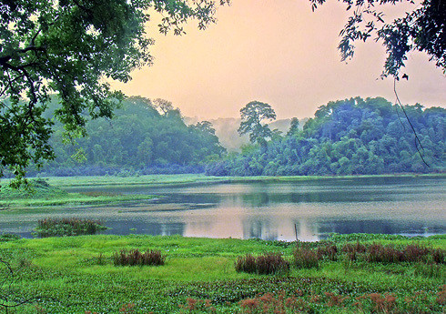 Diện tích khu vực trung tâm của VQG Cát Tiên là 71.920 ha, trong đó: 39.627 ha thuộc địa phận tỉnh Đồng Nai, 27.850 ha thuộc địa phận tỉnh Lâm Đồng và 4.443 ha thuộc địa phận tỉnh Bình Phước. 