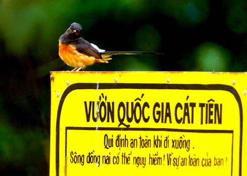 Ngày 18/6/2011, Tổ chức Unesco thế giới đã chính thức công nhận Vườn quốc gia Cát Tiên là Khu dự trữ sinh quyển thế giới.