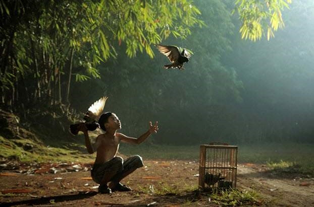 Ở vùng đất quê hương Phật giáo, đây cũng là lúc 3 tháng mùa mưa kết thúc, thời tiết cũng trở nên đẹp đẽ, thuận tiện hơn cho sinh hoạt của mọi người.