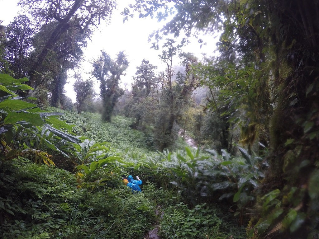 Đây là ngọn núi nằm trên ranh giới tự nhiên giữa Việt Nam và Trung Quốc, được thể hiện thông qua cột mốc số 79. Người dân nơi đây coi Khang Su Văn là bức tường thành tự nhiên bảo vệ biên giới phía Bắc.