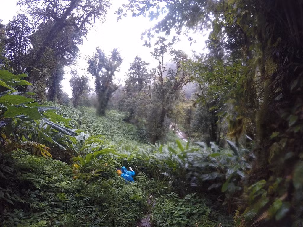 Đây là ngọn núi nằm trên ranh giới tự nhiên giữa Việt Nam và Trung Quốc, được thể hiện thông qua cột mốc số 79. Người dân nơi đây coi Khang Su Văn là bức tường thành tự nhiên bảo vệ biên giới phía Bắc.