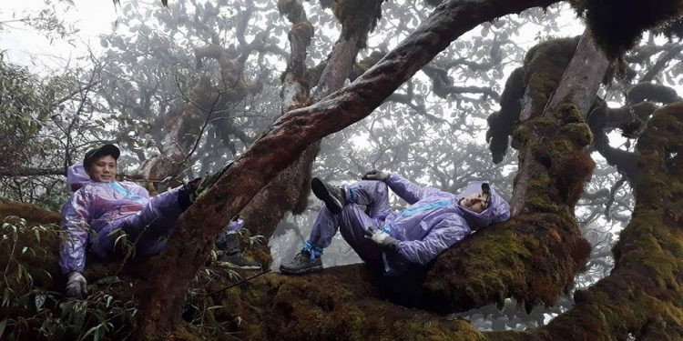 Những người chinh phục Khang Su Văn cho biết ám ảnh nhất là dốc dựng đứng, dốc nọ nối dốc kia liên tục không điểm dừng. Ngoài ra, rễ cây cổ thụ khắp nơi. Nhiều đoạn phải bám hai tay vào gờ đá, nằm rạp xuống để bò khiến người đi gần như kiệt sức.