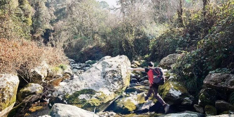 Từ cột mốc 79 lên đỉnh Khang Su Văn vô cùng hiểm trở, toàn là vách đá cao sừng sững, dựng ngược, khiến người leo phải như con thạch sùng bám đá mà leo.