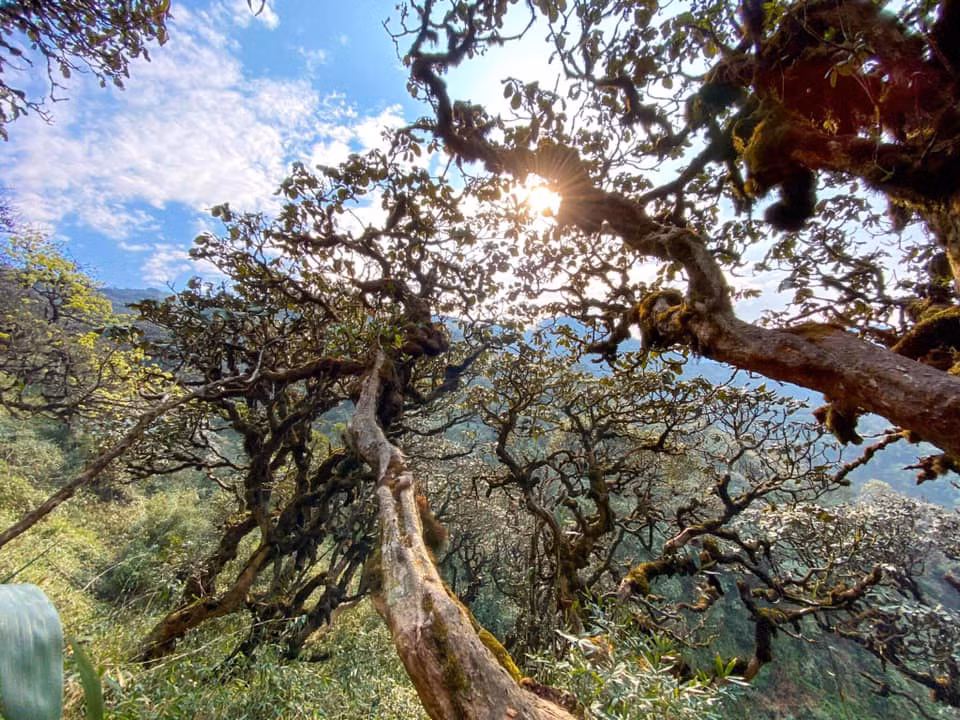 Đỉnh núi Khang Su Văn nằm ở xã Dào San, huyện Phong Thổ, tỉnh Lai Châu, đỉnh Khang Su Văn.