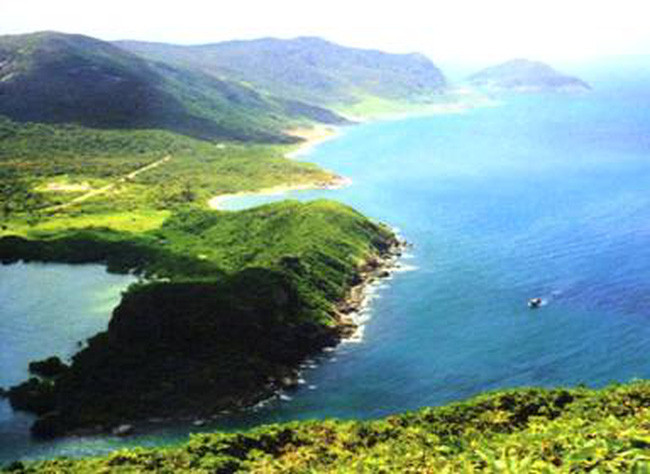 VQG Côn Đảo (Bà Rịa-Vũng Tàu): Với tổng diện tích tự nhiên: 19.883,15 ha, nơi đây ghi nhận trên 1.000 loài thực vật có mạch và nhiều loại chim, thú, bò sát... Có nhiều loài chim ở Côn Đảo không tìm thấy ở bất kỳ một nơi nào khác ở Việt Nam như chim nhiệt đới, chim điên mặt xanh...