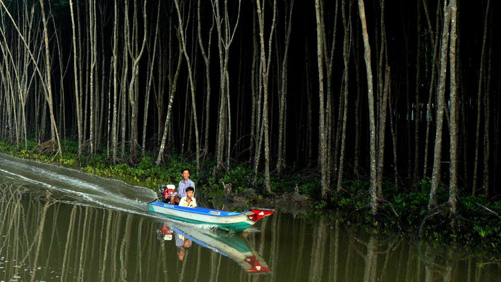 Vườn quốc gia Mũi Cà Mau (Cà Mau): Vùng đất ngập nước này nổi tiếng bởi có có diện tích bãi bùn ngập triều lớn và rừng ngập mặn. Đây là khu vực duy nhất ở Việt Nam có ba mặt giáp với biển, chịu tác động của hai chế độ thủy triều (nhật triều phía Tây và bán nhật triều ở phía Đông).