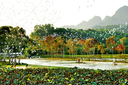 Không chỉ có ý nghĩa cho bảo tồn, nghiên cứu khoa học, nơi đây còn cung cấp các dịch vụ hệ sinh thái quan trọng cho các cộng đồng dân cư gồm nguồn lợi thủy sản và nông nghiệp, điều tiết nước...