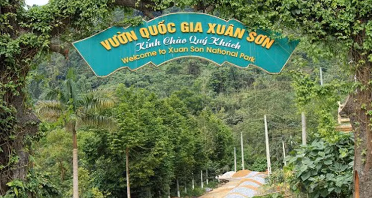  Vườn quốc gia Xuân Sơn nằm ở điểm cuối của dãy Hoàng Liên Sơn, thuộc địa phận huyện Tân Sơn – Phú Thọ với tổng diện tích gần 33.700 ha, trong đó vùng lõi hơn 15.000 ha, vùng đệm hơn 18.600 ha.