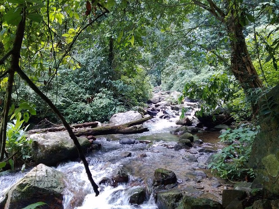 Vườn quốc gia Xuân Sơn còn được thiên nhiên ban tặng cho những con thác nước cao, hùng vĩ và đẹp vào bậc nhất của Việt Nam như thác 9 tầng mây, thác Ngọc, thác Mơ...