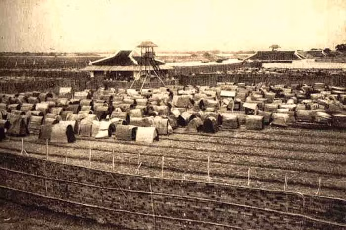 Cùng năm đó, Trịnh Tạc ra lệnh "cấm tự tiện cho chức tước" để dẹp bỏ nạn xin bừa chức tước, mua quan, mua chức.