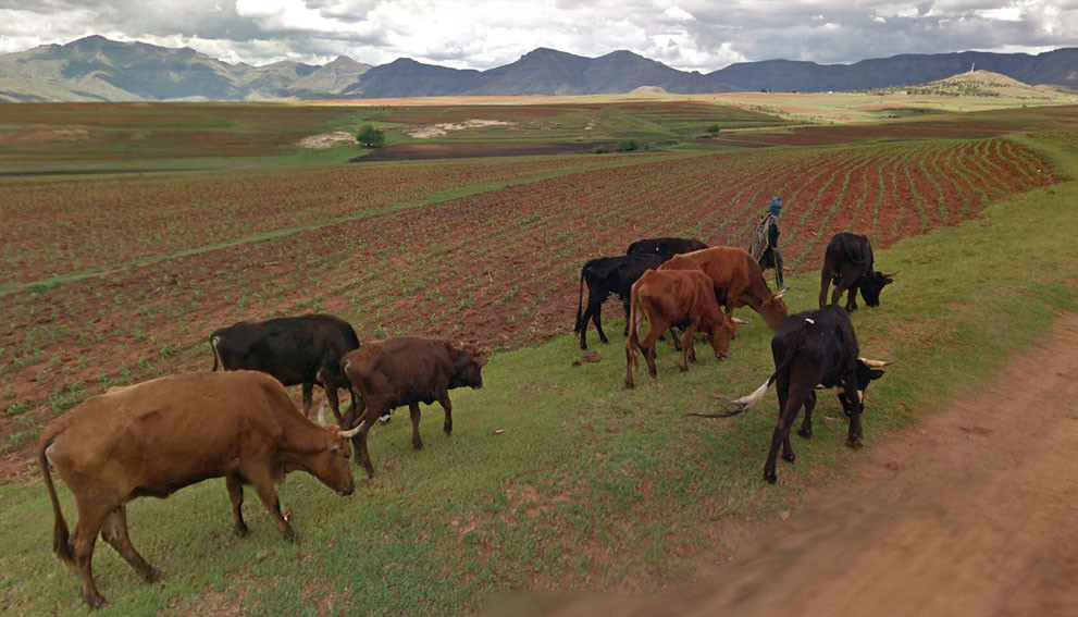 Dù có kim cương, nhưng do địa hình cao, chủ yếu là đồi núi, kinh tế Lesotho phát triển chậm. Nền kinh tế chủ đạo của nước này là nông nghiệp với những ngành như trồng trọt, chăn nuôi gia súc.