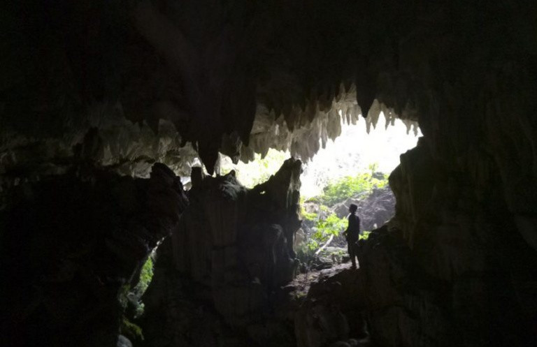 Đặc biệt, ở trong động có một khoảng trống rộng hơn 2m, ánh sáng tự nhiên chiếu vào hang làm cảnh vật nơi đây thêm phần lung linh và đầy bí ẩn.
