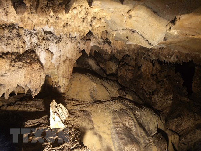 Các nhũ đá ở đây có hình thù đa dạng từ sông suối, ao hồ, ruộng bậc thang; xếp chồng lên nhau thành nhiều tầng, lớp hoặc mọc nối tiếp nhau như những rừng cây xương rồng giữa sa mạc hoặc đứng đơn lẻ như cây nấm khổng lồ.