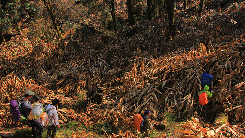 Tổng đoạn đường leo núi lên đỉnh Khang Su Văn là 26km.