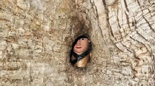 Chuyen gia giai ma bi an 