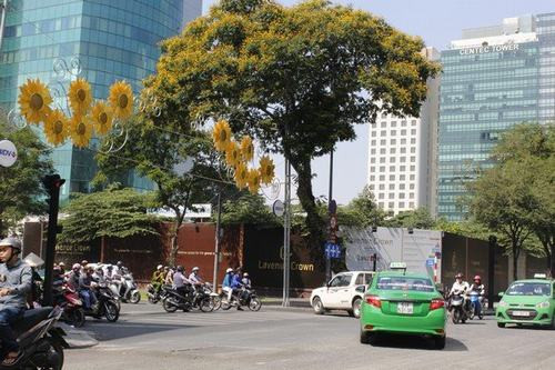 Lavenue Crown là một dự án phức hợp hạng sang; bao gồm có 3 khu chức năng: căn hộ hạng sang, khách sạn 5 sao và trung tâm thương mại. Riêng Khối căn hộ hạng sang bao gồm khoảng 200 căn với tổng diện tích sàn khoảng 23.000m2.