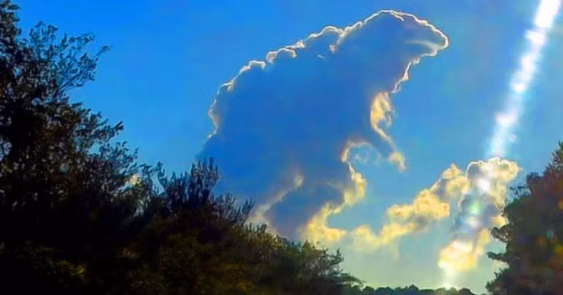 Quái vật Godzilla trên trời