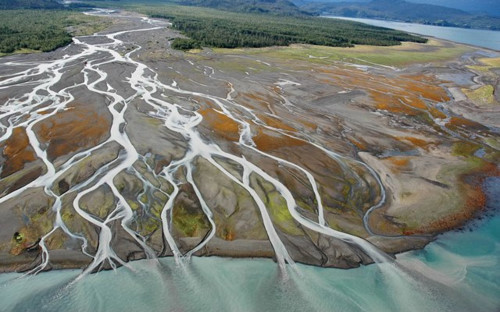 Kinh hai hiem hoa bang vinh cuu tan chay