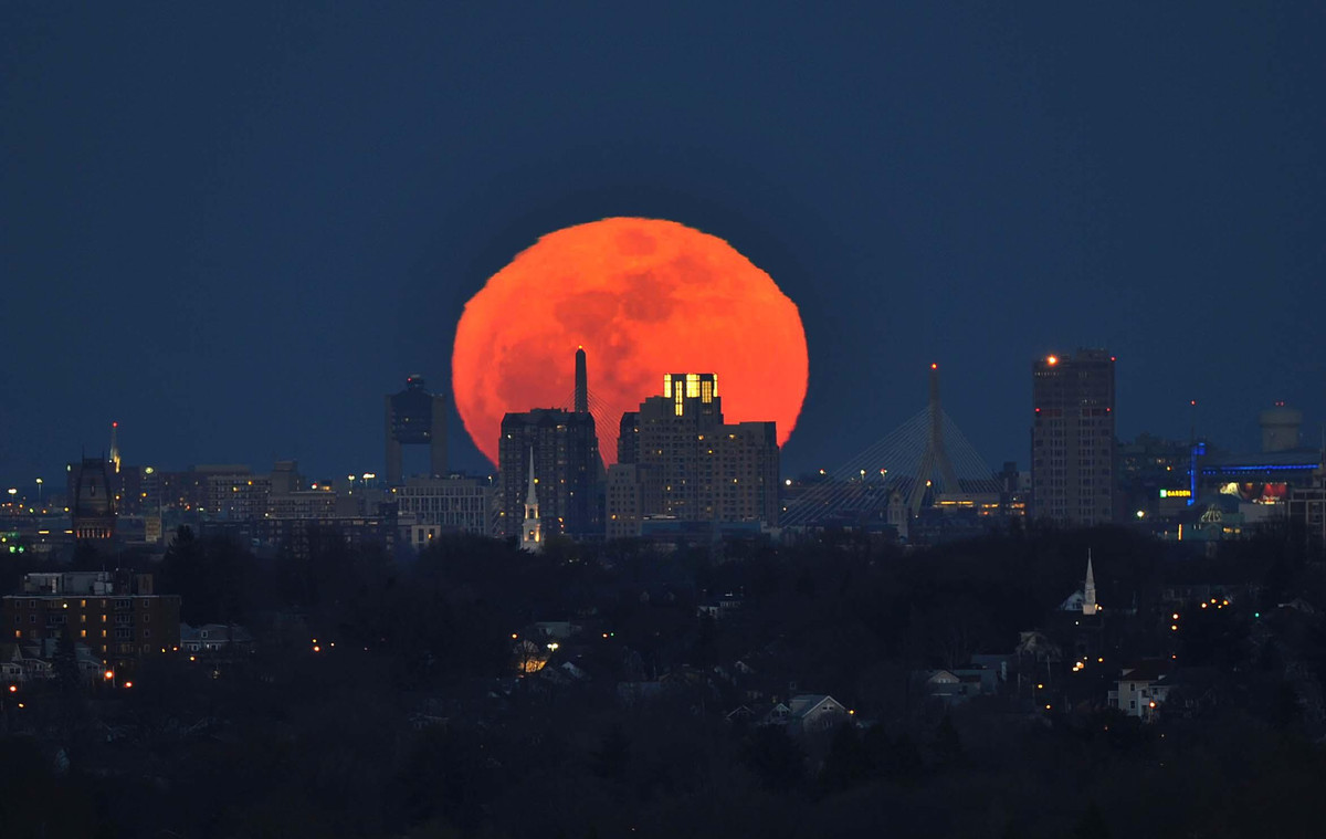 Su that co the ban chua biet ve trang mau-Hinh-2