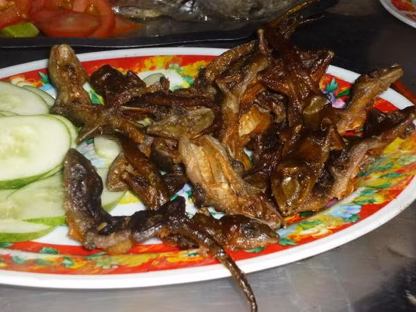 Thằn lằn núi được chế biến thành nhiều món như băm nhỏ xào với tiêu xanh ăn kèm bánh tráng và lá lốt...