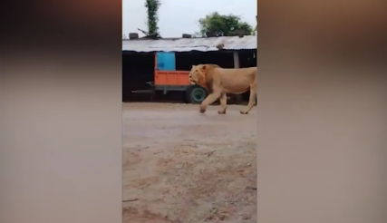 Su tu noi tieng anh dung gap cho nha va ket hai huoc