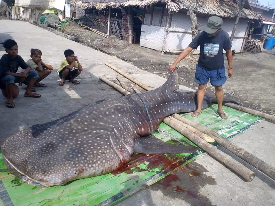 Mo xac ca map tac tho, phat hien dieu dang bao dong