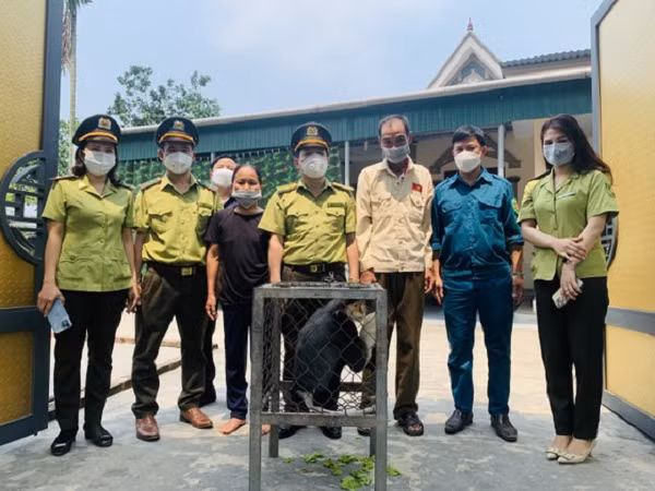 Chà vá chân nâu (Pygathrix nemaeus) là một loài linh trưởng đặc hữu quý hiếm và đang trong tình trạng nguy cấp tại Việt Nam. Loài này thuộc Danh mục động vật rừng nguy cấp, quý, hiếm nhóm IB được sách đỏ Việt Nam và tổ chức Liên minh Quốc tế Bảo tồn thiên nhiên và tài nguyên thiên nhiên (IUCN) xếp ở mức nguy cấp (EN).