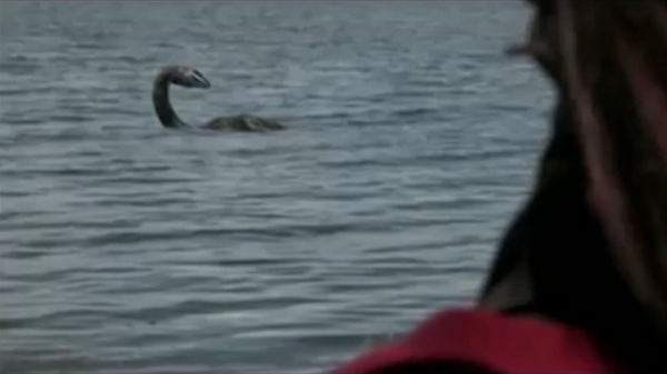 Có thể rất nhiều người đã nhìn nhầm "của quý" cá voi trong mùa sinh sản và cho rằng đó là Nessie (tên thân mật quái vật hồ Loch Ness).