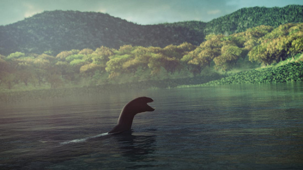 Do cá voi thường giao phối theo bầy đàn, vì vậy trong khi một con đực đàn bận rộn với con cái thì những con đực còn lại thường có xu hướng đưa "của quý" lên khỏi mặt nước trong khi bơi xung quanh chờ đến lượt mình.