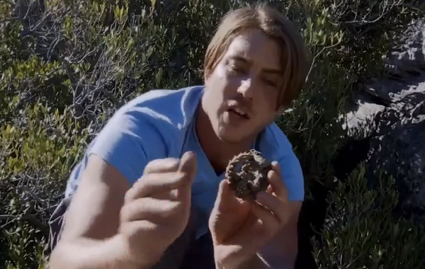 Thằn lằn armadillo được bao phủ bởi những chiếc gai sắc nhọn, ngoại trừ phần bụng bên dưới. Điều này làm cho mặt dưới của loài thằn lằn này dễ bị tổn thương từ những kẻ săn mồi.