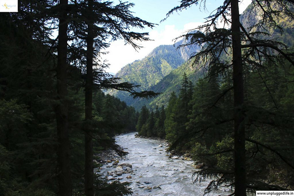 Hơn 2 tháng sau khi Agarwal mất tích, gia đình anh nhận được cuộc gọi từ 2 người là dân đi bộ đường dài từng tới Parvati. Họ nói đã xem các áp phích về trường hợp Agarwal trên mạng xã hội và muốn giúp đỡ.