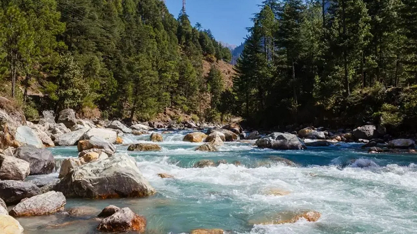 Mahajan đã từng tham gia vào nhiều cuộc tìm kiếm khác nhau trong nhiều năm. "Nhưng thông thường kết quả cũng có nghĩa là tìm thấy hài cốt của một người đã chết"- Mahajan nói.