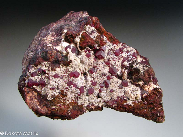 Loạt hạt lạ lùng này được coi là chìa khóa của máy tính lượng tử tương lai. Nó sẽ được ứng dụng trong các mạch lượng tử giúp máy tính lượng tử có khả năng lưu trữ, xử lý và truyền tải thông tin với tốc độ ánh sáng.