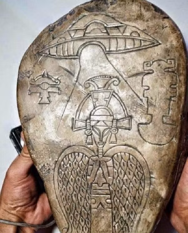 Một chiếc đĩa bay, một chiếc tàu không gian đặc biệt thiết kế dùng để đâm vào hoặc làm lệch hướng sao chổi, một chiếc tàu không gian được điều khiển thông minh.