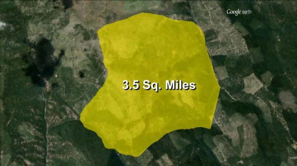 Hiện tại, đại cơ thể của nấm Armillaria đang chiếm tới 10km2 diện tích rừng quốc gia Malheur (Mỹ).