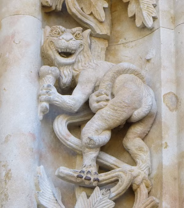 Ngoài hình khắc phi hành gia, thành phố này còn có các hình chạm khắc kỳ lạ khác, ví dụ như một phần mặt tiền của Trường đại học Salamanca, có một hình chạm khắc đá rất chi tiết và đa dạng, mô tả tất cả các loại hình thù và thiết kế.