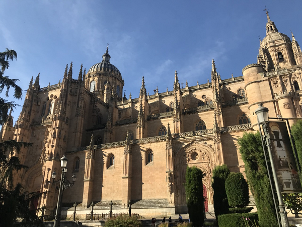 Tuy nhiên, những người ủng hộ các giả thuyết thay thế khác lại cho rằng hình tượng phi hành gia thực ra đã được chạm khắc sớm hơn nhiều và công việc trùng tu chỉ đơn thuần tu sửa lại các chỗ hư hại trên bức chạm khắc phi hành gia.