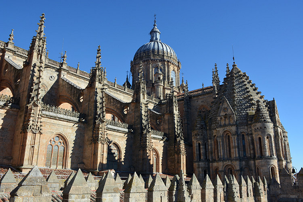 Nhiều người giải thích rằng hình khắc ấy trên thực tế là một phần của quá trình trùng tu nhà thờ vào năm 1992. Vào thời điểm đó, “Puerta de Ramos” (đây là tên của lối vào Nhà thờ mới) đã xuất hiện những hư hại đáng kể sau một vài thế kỷ tồn tại.