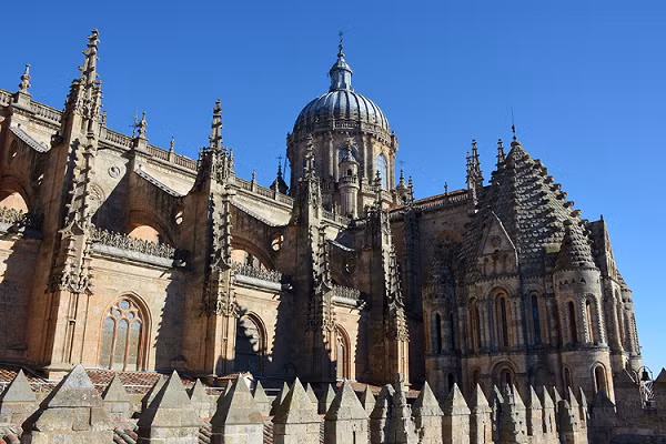 Nhiều người giải thích rằng hình khắc ấy trên thực tế là một phần của quá trình trùng tu nhà thờ vào năm 1992. Vào thời điểm đó, “Puerta de Ramos” (đây là tên của lối vào Nhà thờ mới) đã xuất hiện những hư hại đáng kể sau một vài thế kỷ tồn tại.