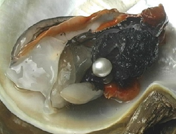 Điểm khác biệt lớn nhất giữa ngọc trai tự nhiên và ngọc trai nuôi chính là lớp xà cừ bên ngoài. Ngọc trai tự nhiên được hình thành hoàn toàn không có sự can thiệp của con người.