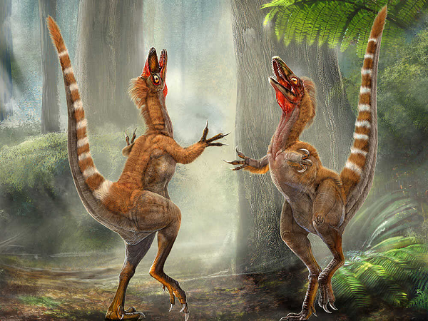 Các melanosome lớn, to chỉ ra sắc tố xám hoặc xanh lam, trong khi các melanosome dài và nhỏ, phẳng hoặc rỗng là dấu hiệu của ánh kim. Loài khủng long đầu tiên được phục hồi màu sắc là loài khủng long lông dài đầu tiên từ Trung Quốc, Chim rồng Trung Quốc - Sinosauropteryx.