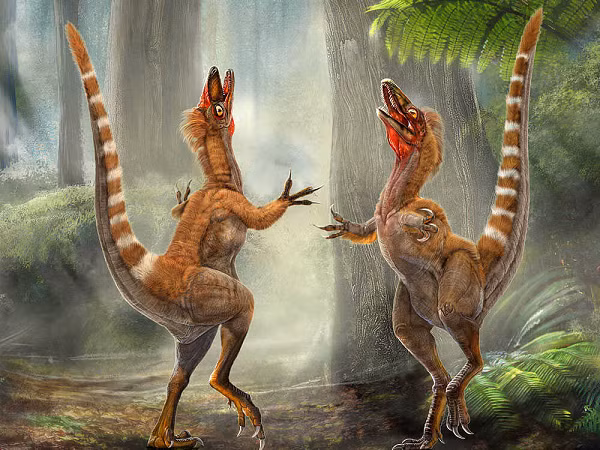 Các melanosome lớn, to chỉ ra sắc tố xám hoặc xanh lam, trong khi các melanosome dài và nhỏ, phẳng hoặc rỗng là dấu hiệu của ánh kim. Loài khủng long đầu tiên được phục hồi màu sắc là loài khủng long lông dài đầu tiên từ Trung Quốc, Chim rồng Trung Quốc - Sinosauropteryx.